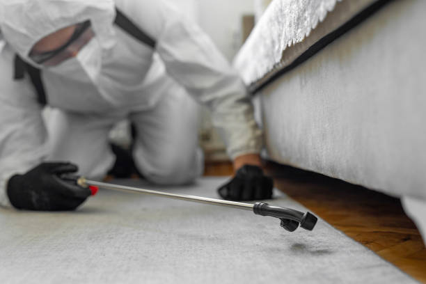 Professional Bed Bug Control technician working in Brown County County, IN